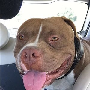 Meet your Posher, Zoraida